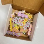 IMG 7667 scaled IMG 7667 scaled