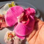 Pinteresty Orchid Petal Flower Clips