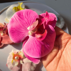 Pinteresty Orchid Petal Flower Clips