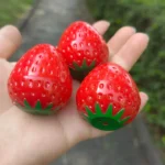 Kawaii Strawberry Lip Balm